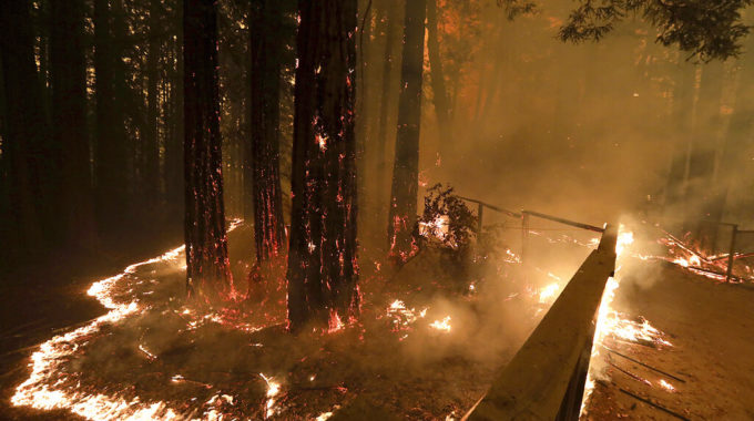 Los feroces vientos de California se alivian después de avivar incendios forestales, derribar árboles y voltear grandes camiones