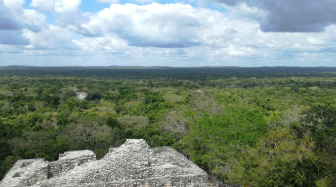 Suspensión de tren maya en México divide comunidad indígena