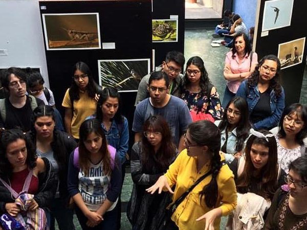 Este fotógrafo muestra la vida salvaje escondida de la Ciudad de México