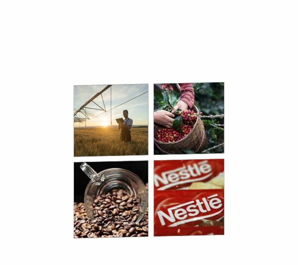 Conozca las 10 Startups seleccionadas por Nestlé México y The Yield Lab LATAM para impulsar la sustentabilidad
